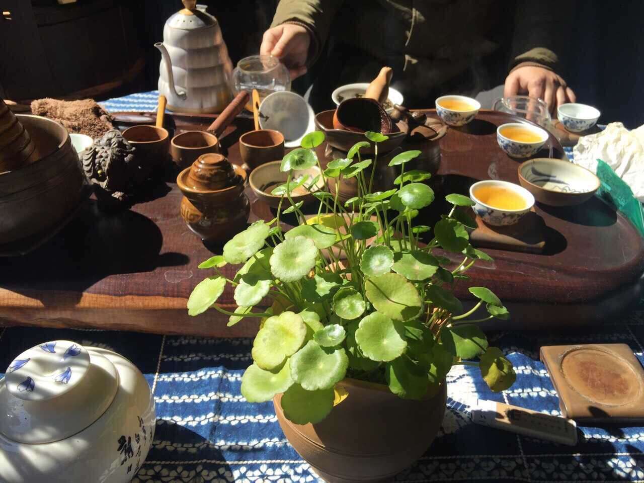 QQ图片20160204175157.jpg