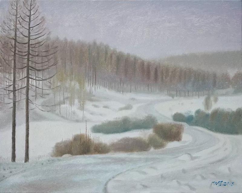 塞罕坝风景3   布面油画  40X50cm  2018年.jpg