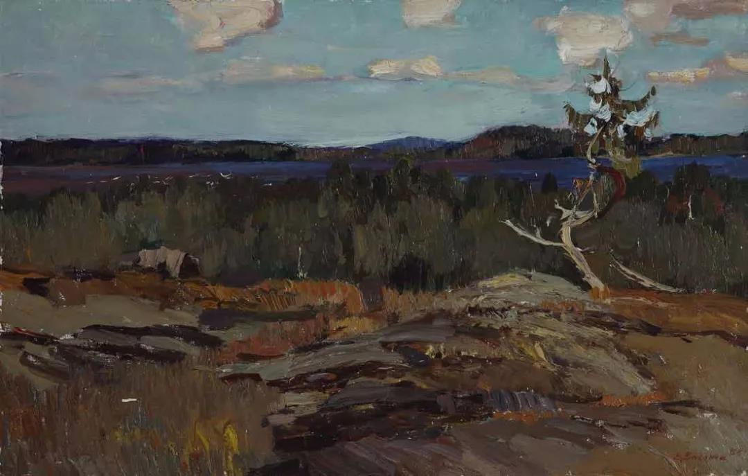 老拉多维加Старая Ладога  布面油画 х.м  30cm×47.5cm 1955.jpg