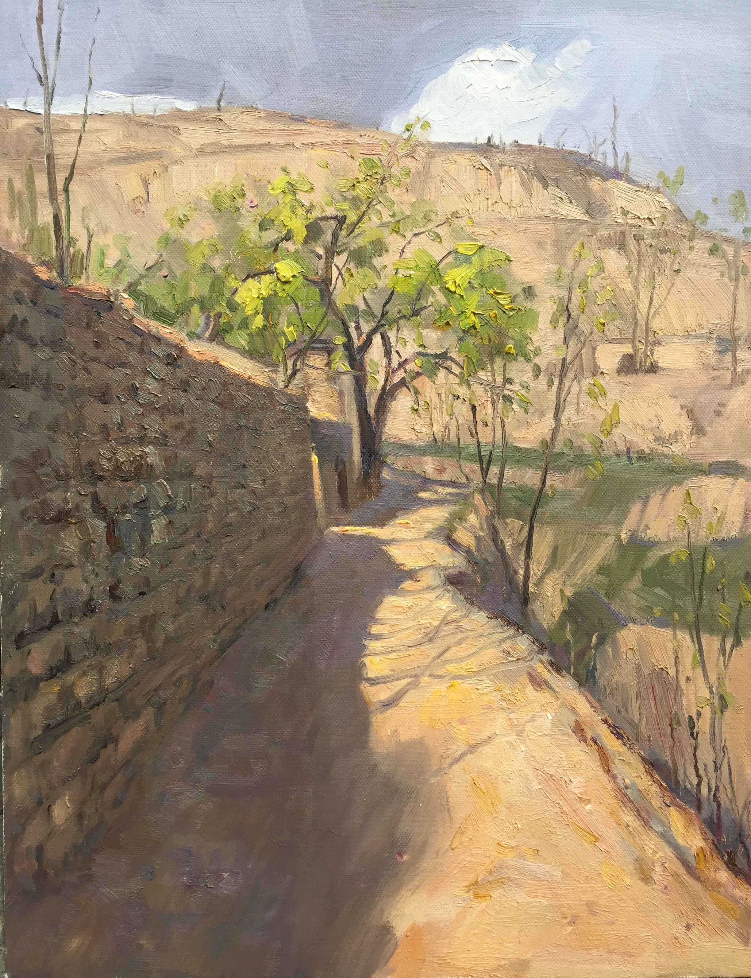 李家山的路，40×50，布面油画，2016.jpg
