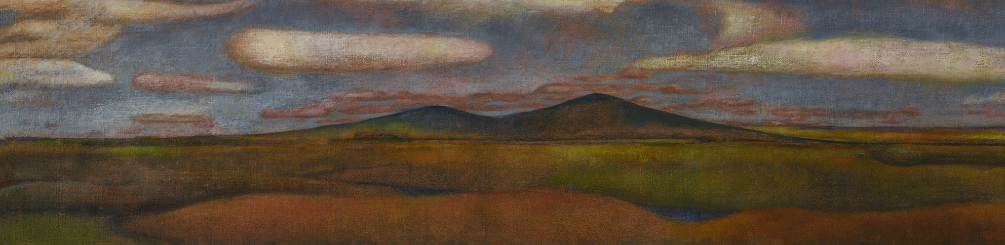 14山-布面油画-34cm×139cm-2008.jpg